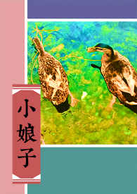 小娘子广场舞